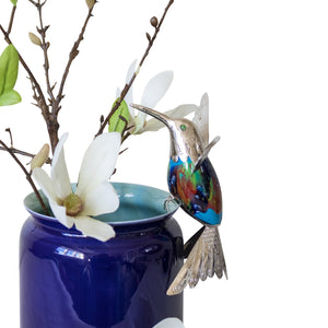 Shady Cove Hummingbird, Large